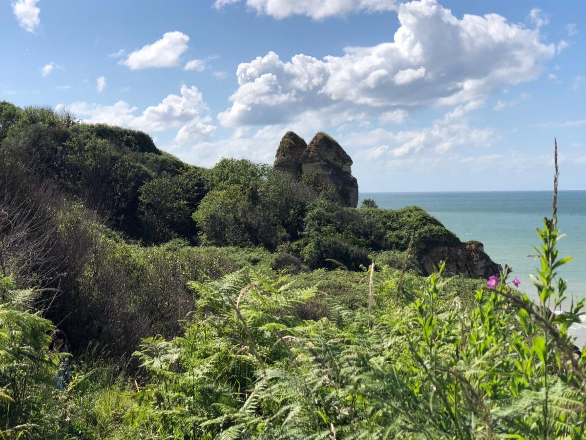 Le Petit Clos Du Bessin Longues-sur-Mer Eksteriør billede